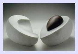 Avocado.  Click on this image for enlargement and measurements